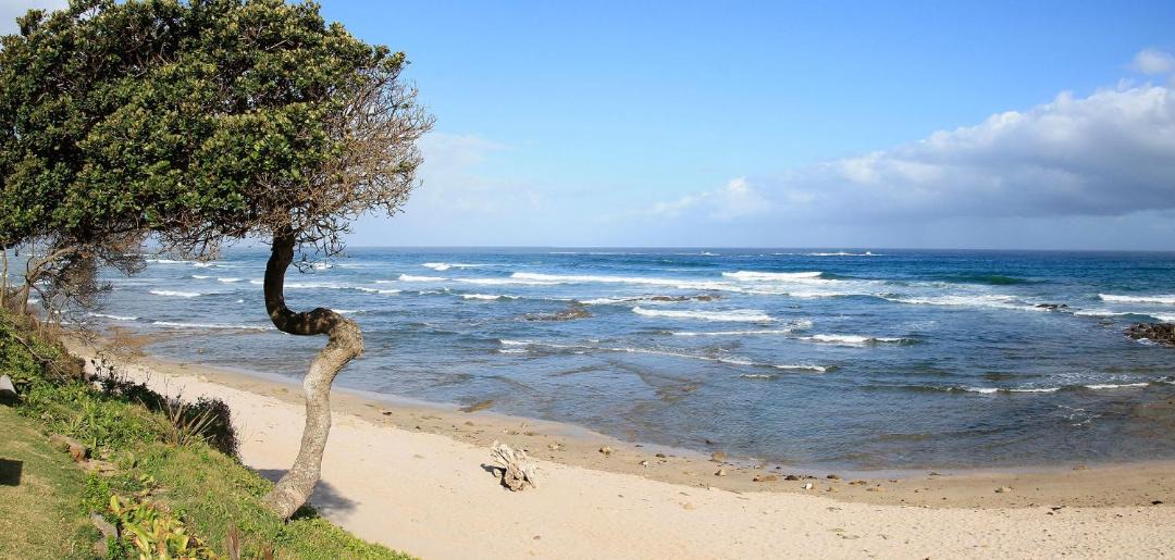 Photo of Others in Kei Mouth