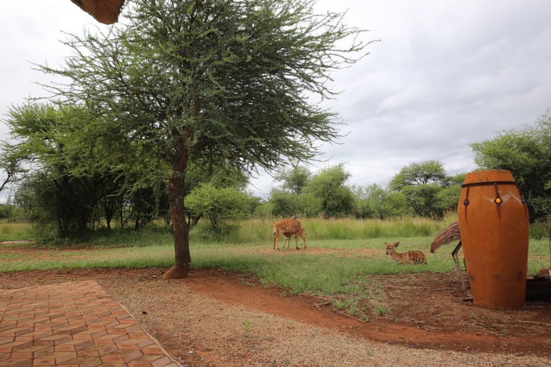 Photo of Others in Bela-Bela