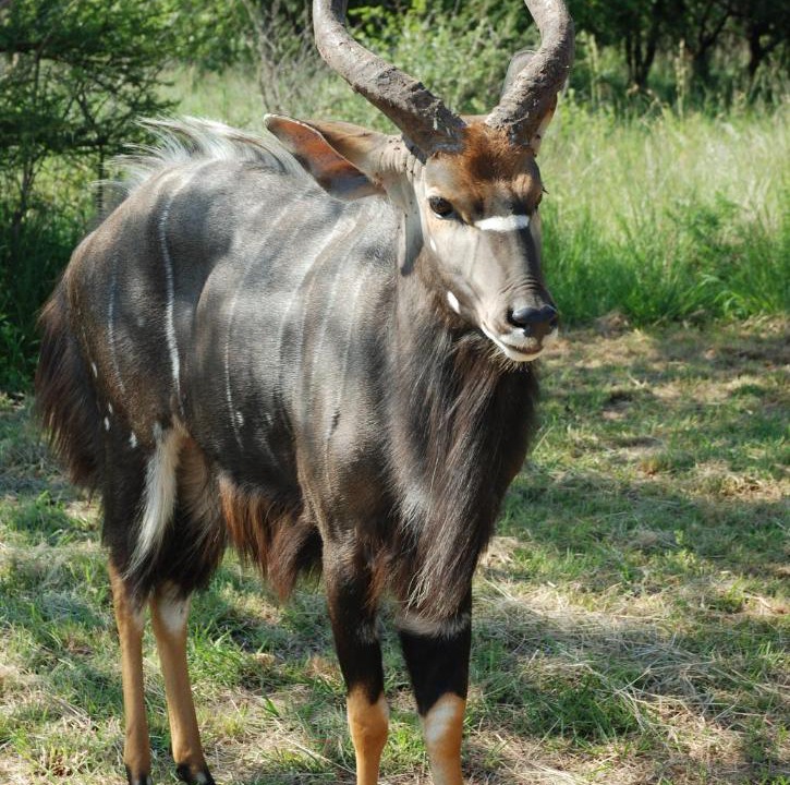 Photo of Others in Bela-Bela