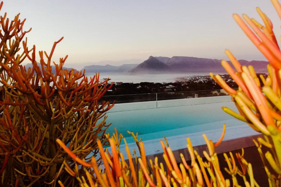 Photo of Others in Kommetjie
