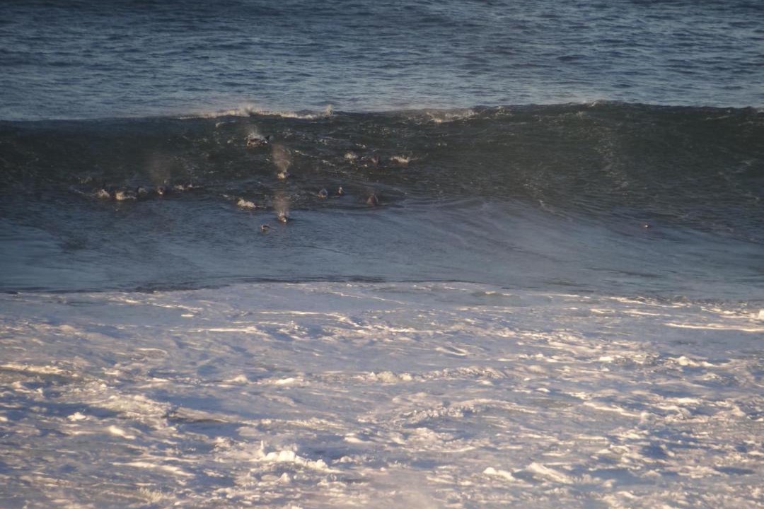 Photo of Human In Picture in Dana Bay