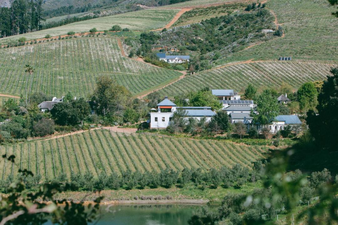 Photo of Others in Cape Winelands