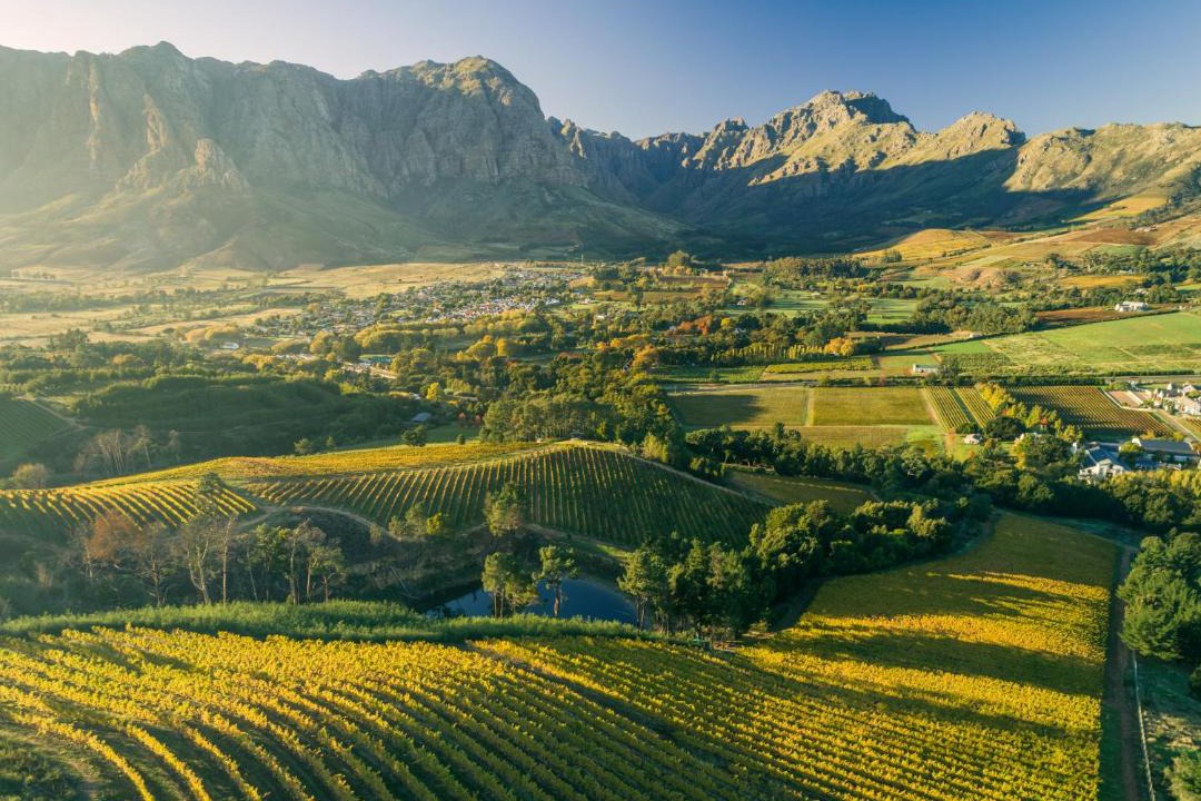 Photo of Others in Cape Winelands