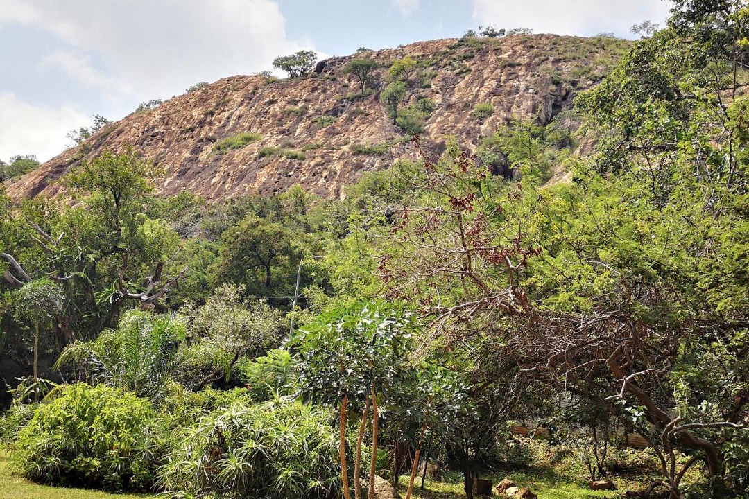 Photo of Others in Umjindi