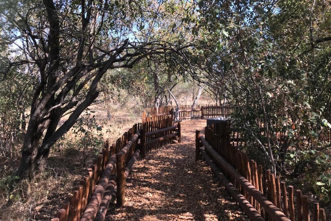 Photo of Others in Hoedspruit