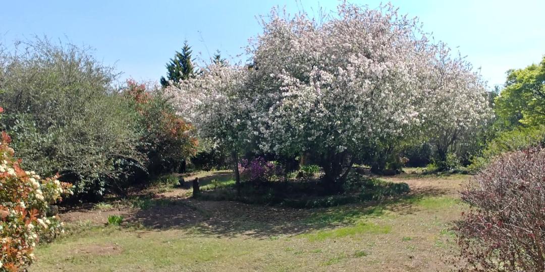 Photo of Others in Underberg