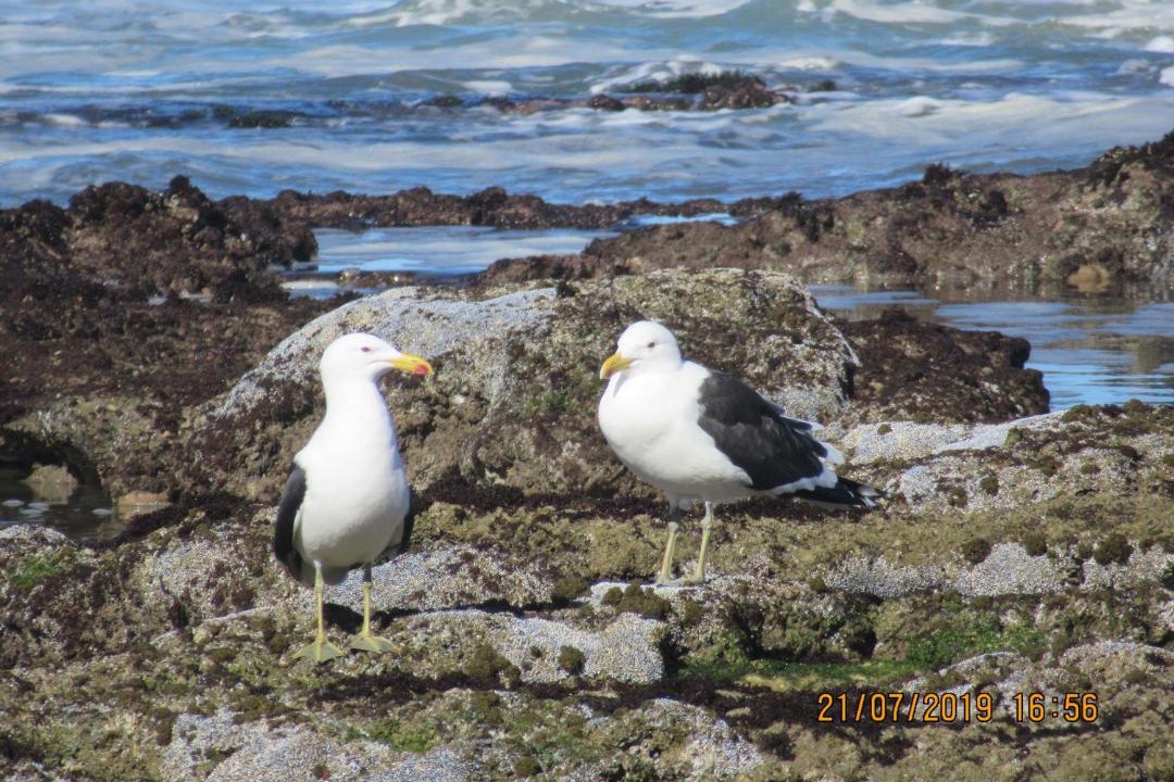 Photo of Others in Great Brak River