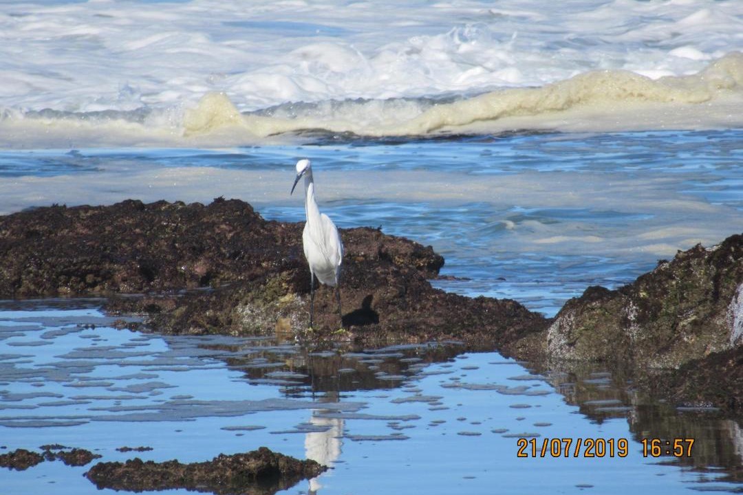 Photo of Others in Great Brak River