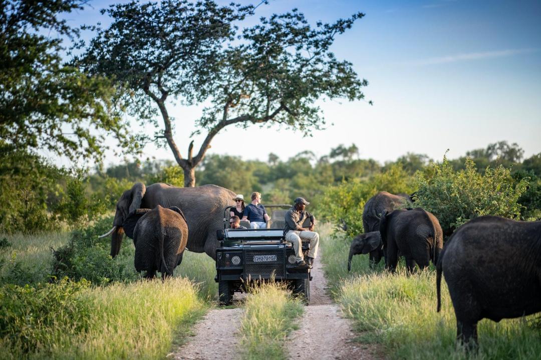 Photo of Others in Kruger National Park