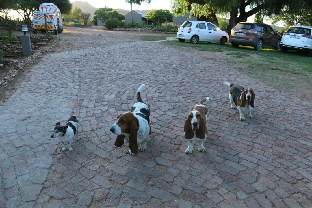 Photo of Others in Dysseldorp