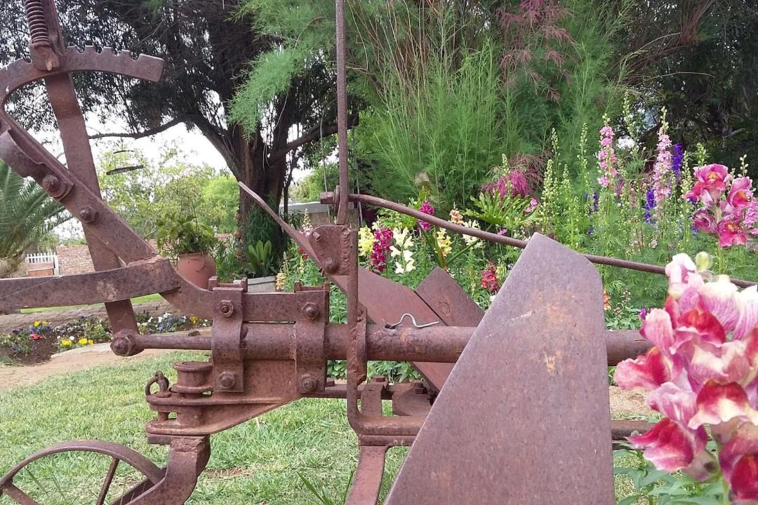 Photo of Others in Graaff-Reinet