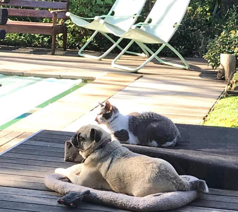Photo of Others in Rondebosch