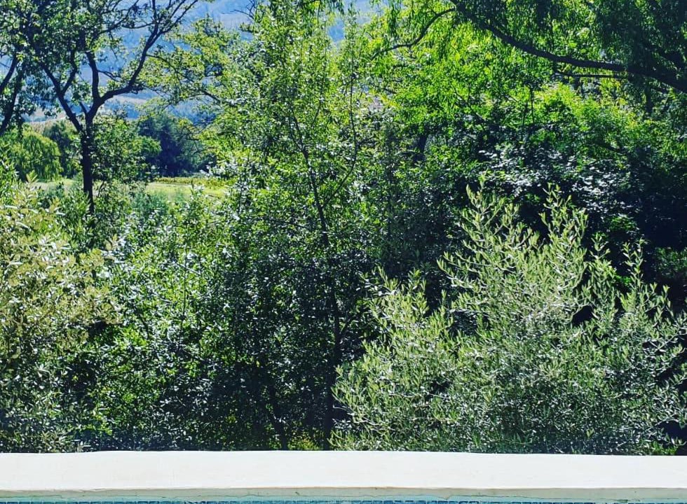 Photo of Others in Franschhoek