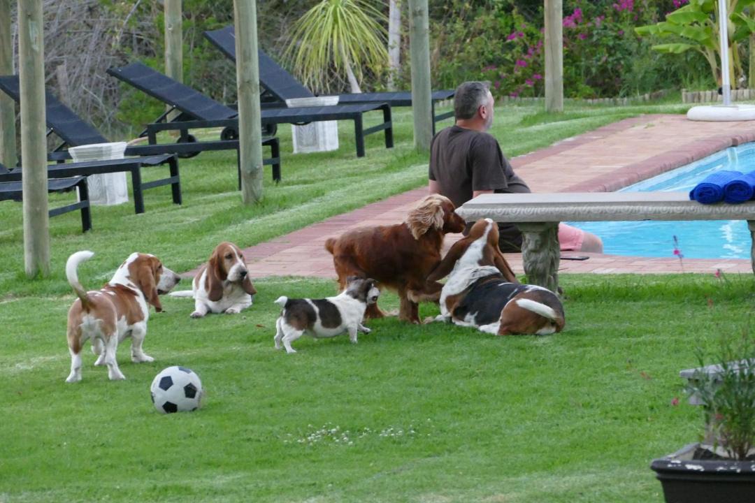 Photo of Others in Dysseldorp