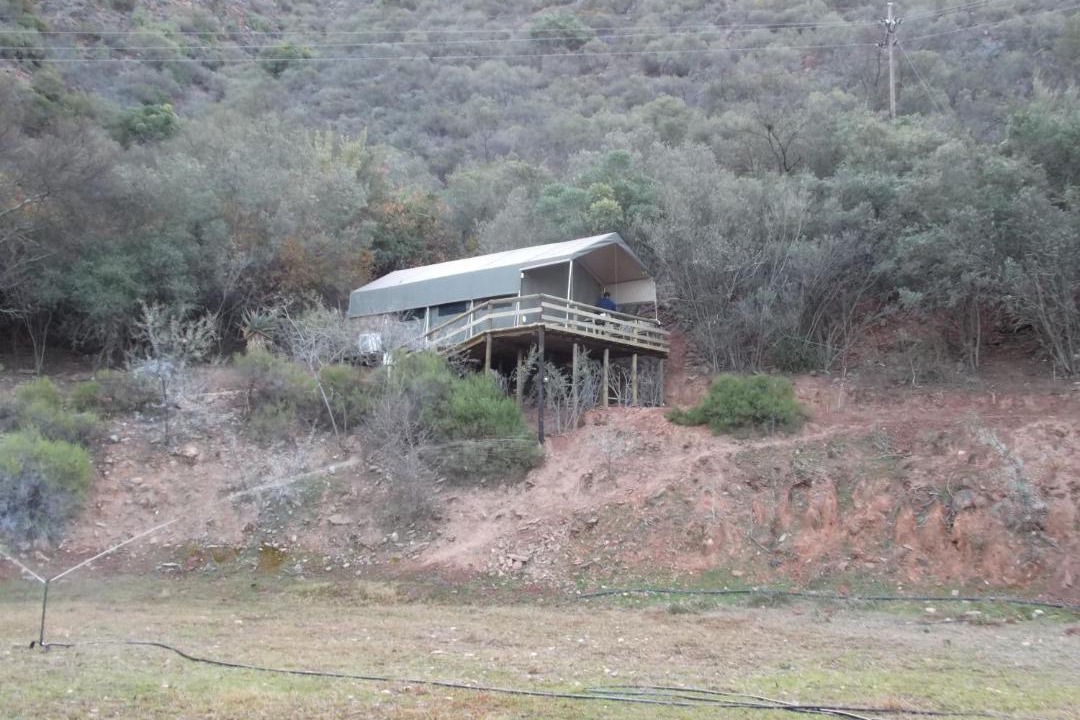 Photo of Others in Schoemanshoek