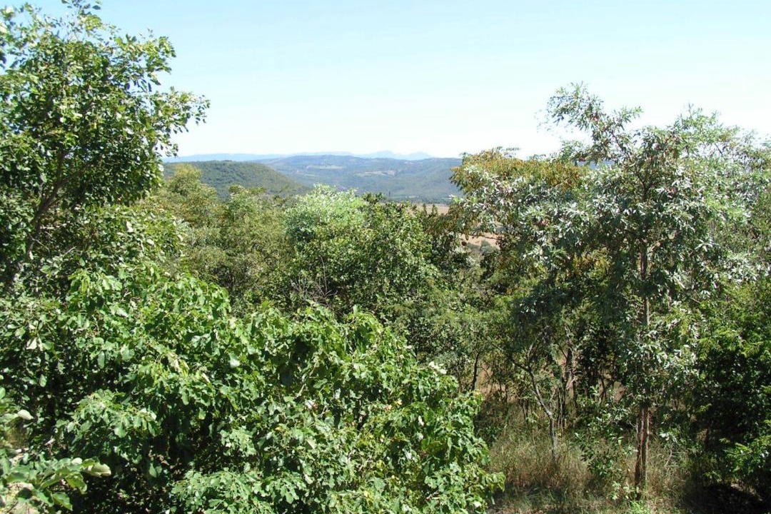 Photo of Others in Hazyview