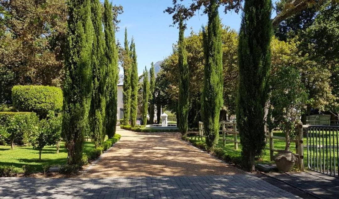 Photo of Others in Franschhoek