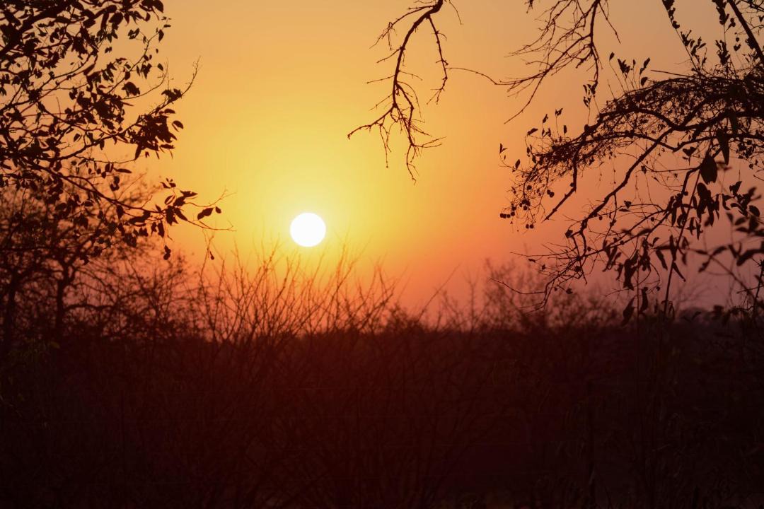 Photo of Others in Phalaborwa