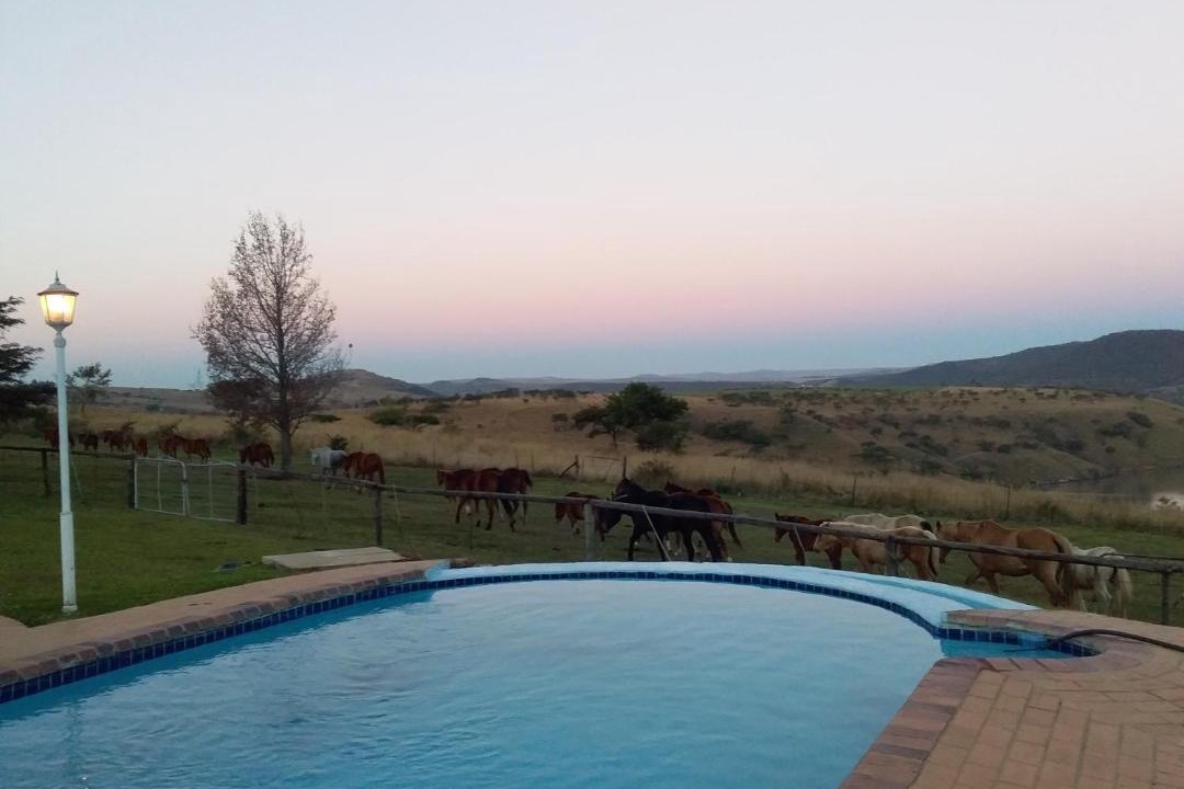 Photo of Others in Umtshezi