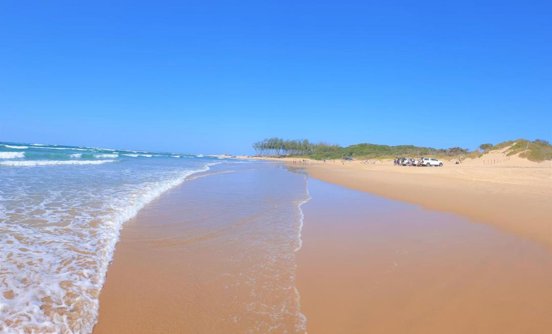 Photo of Others in Sodwana Bay
