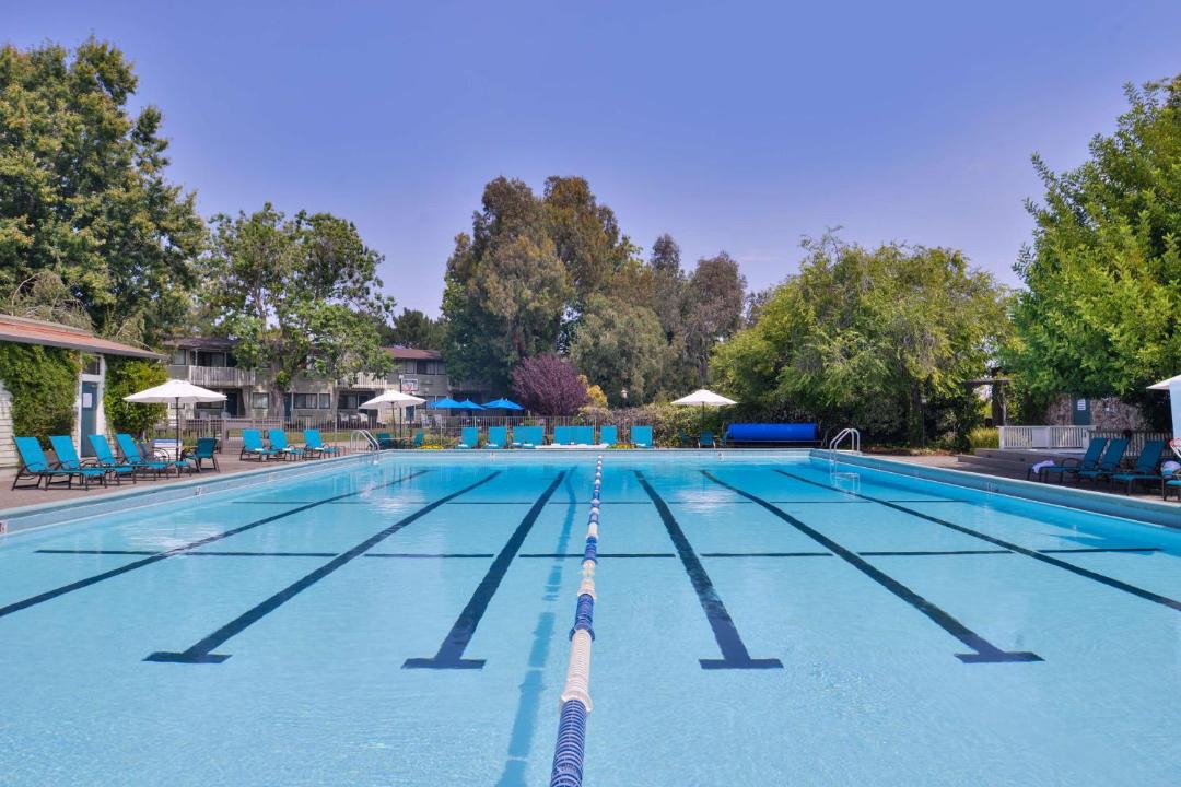 Photo of Others in Corte Madera