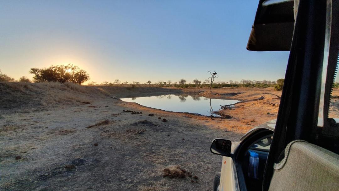 Photo of Others in Thorny Bush Game Reserve
