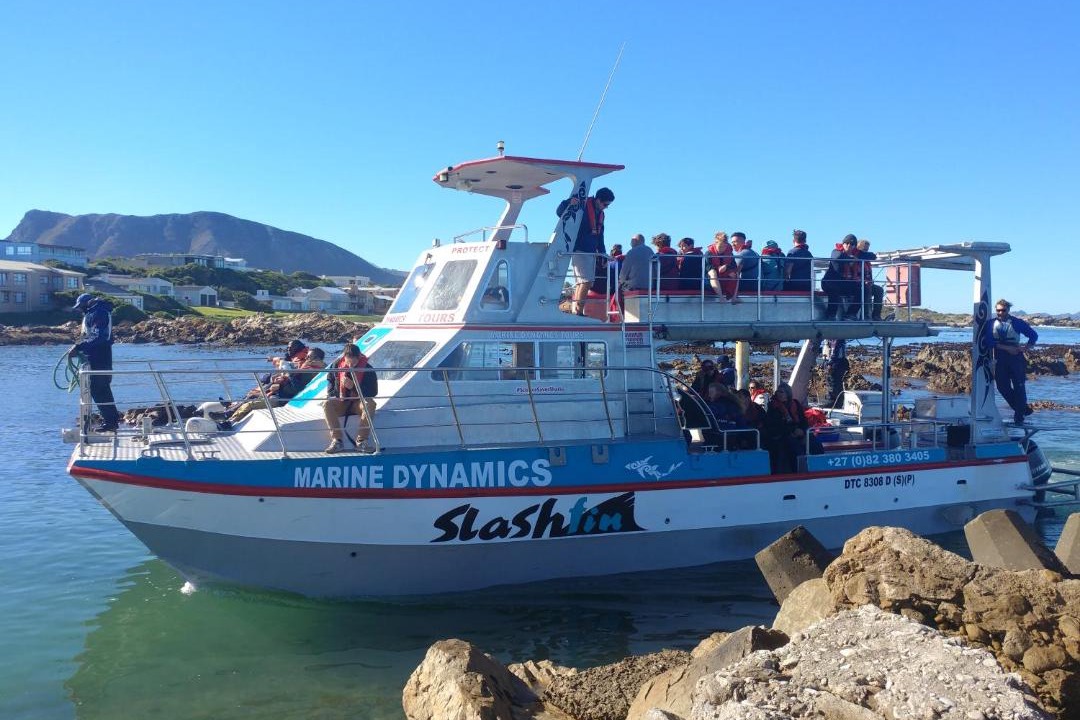 Photo of Others in Van Dyks Bay
