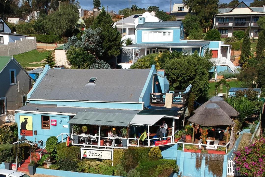 Photo of Others in Napier