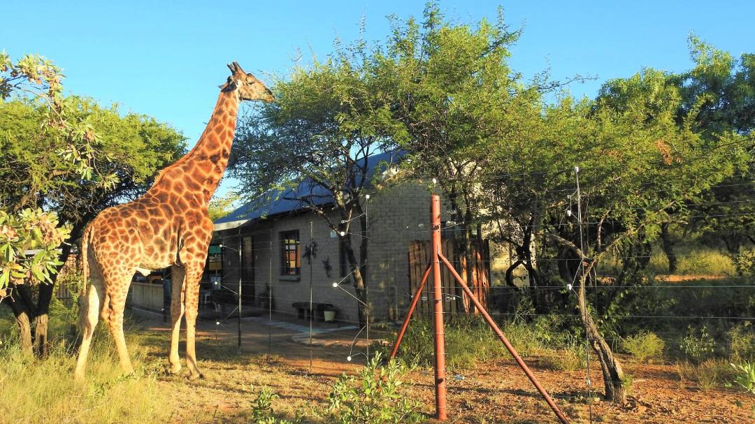 Photo of Others in Hammanskraal