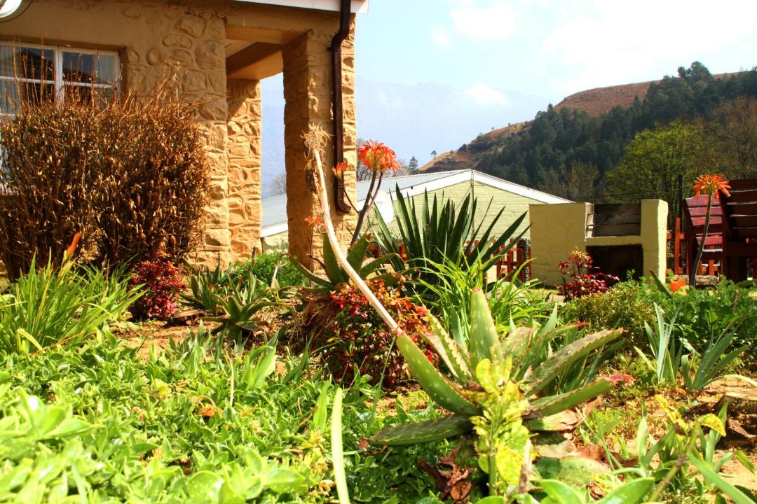Photo of Others in Drakensberg Gardens