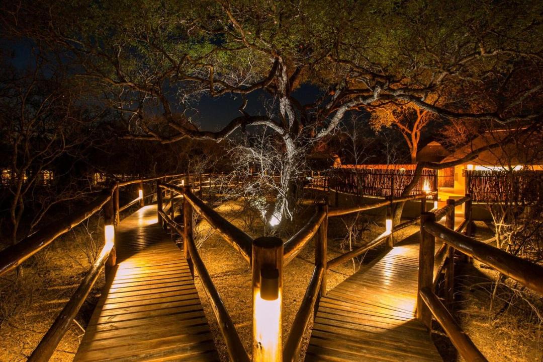 Photo of Others in Thorny Bush Game Reserve