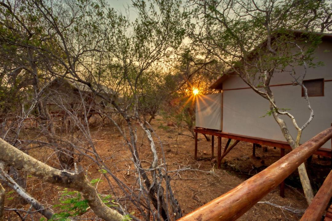 Photo of Others in Thorny Bush Game Reserve