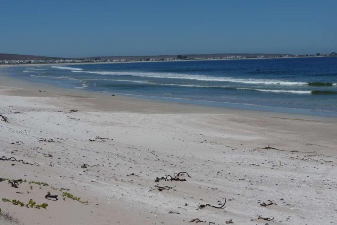 Photo of Others in Shelley Point