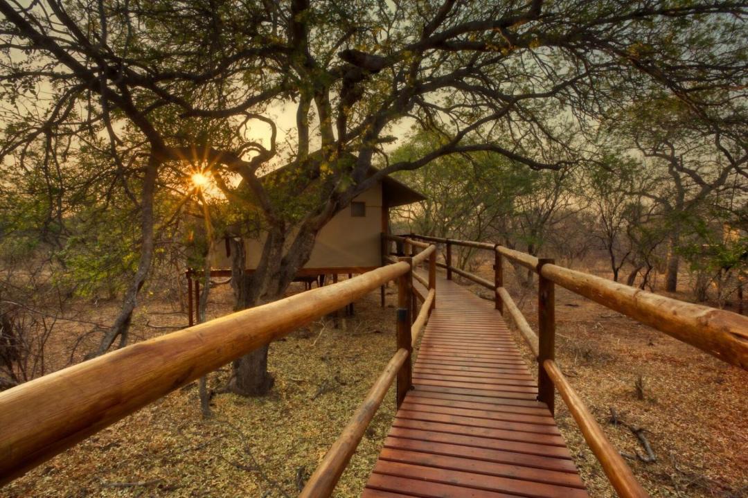 Photo of Others in Thorny Bush Game Reserve