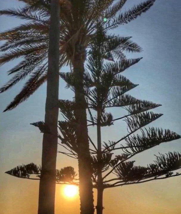 Photo of Others in Cesme
