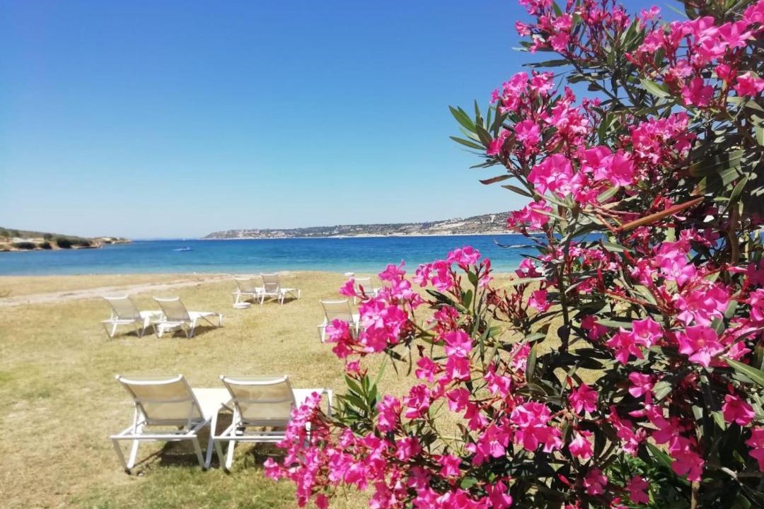 Photo of Others in Cesme