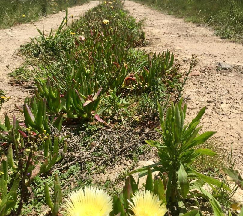 Photo of Outdoor in Plettenberg Bay