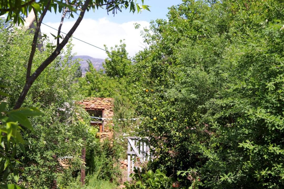 Photo of Others in Joubertina