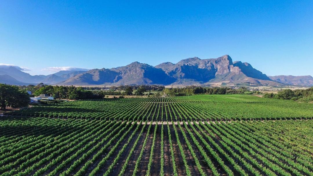 Photo of Others in Cape Winelands