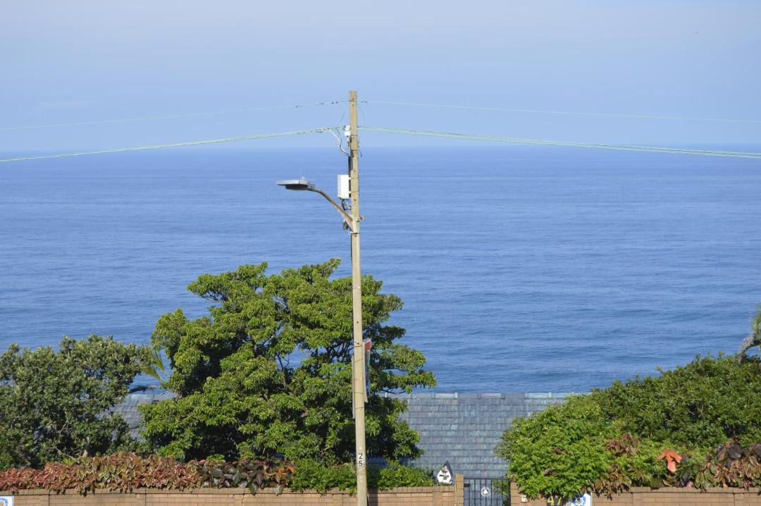 Photo of Others in Bluff