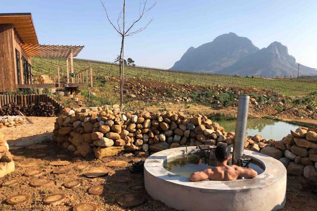 Photo of Others in Cape Winelands