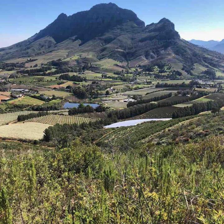 Photo of Outdoor in Cape Winelands