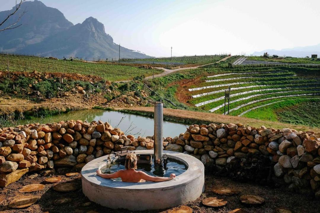 Photo of Others in Cape Winelands