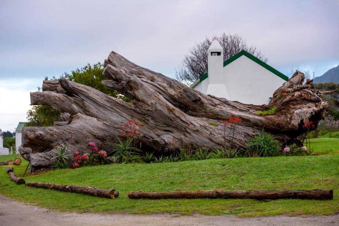 Photo of Others in Kleinmond