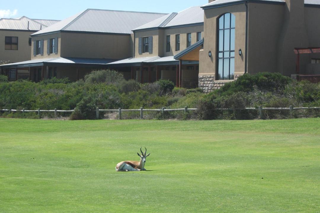 Photo of Others in Melkbosstrand