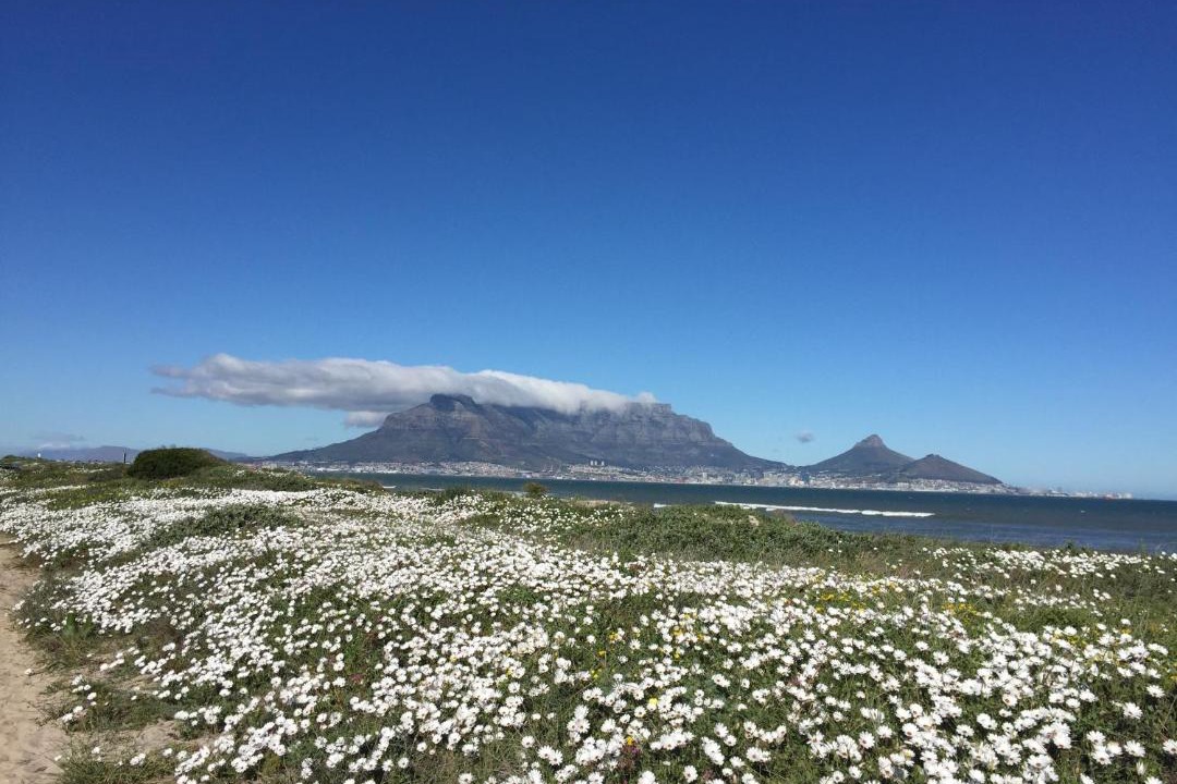 Photo of Others in Cape Town