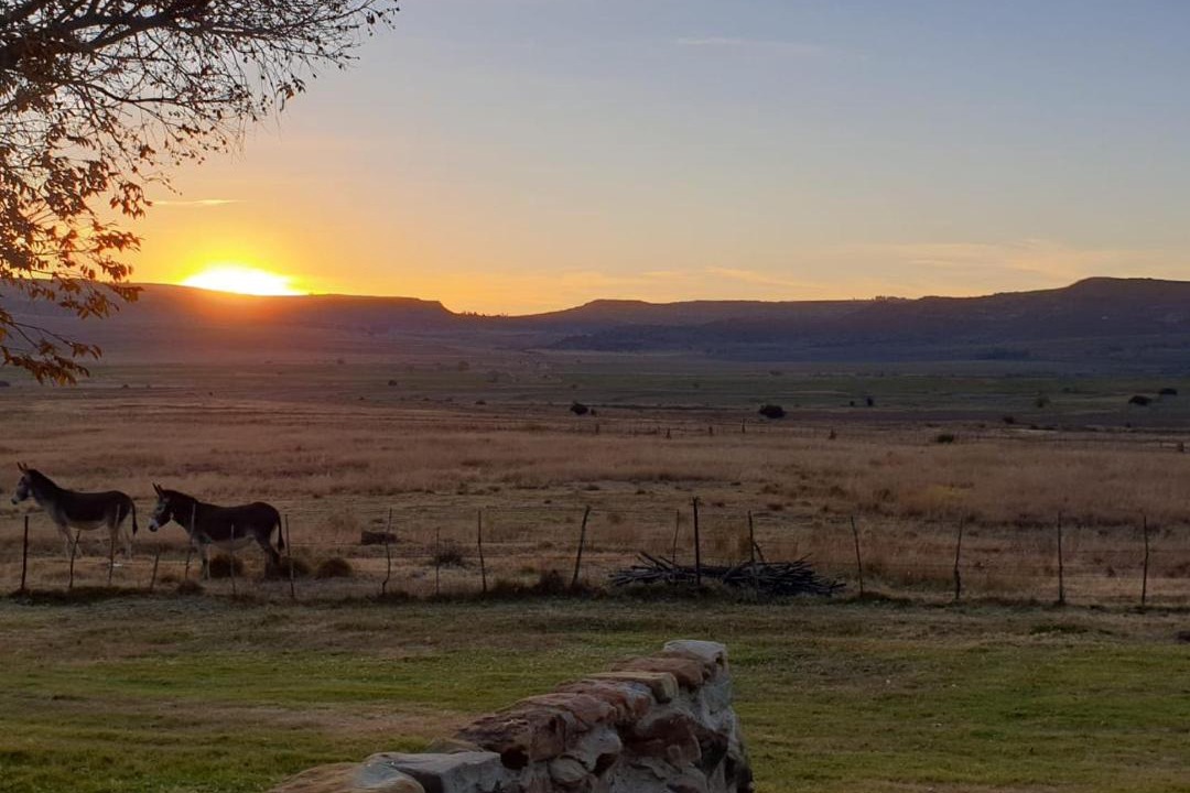 Photo of Others in Ficksburg