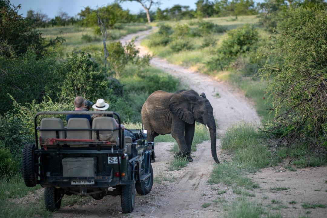 Photo of Others in Kruger National Park