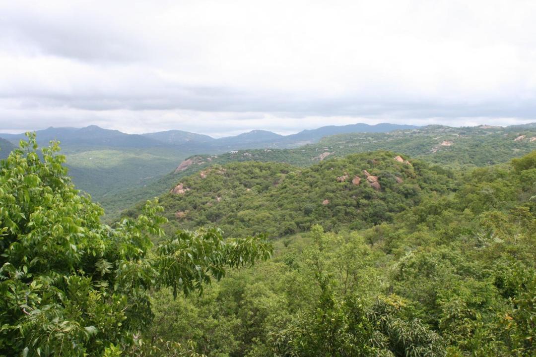 Photo of Others in Nelspruit