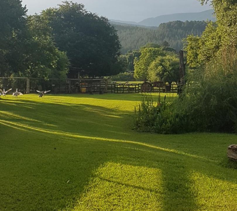 Photo of Others in Sabie